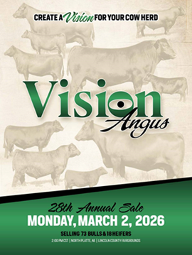 Vision Angus Sale Book Cover