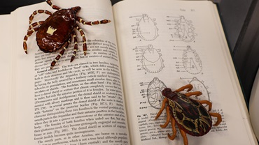 ticks on a book