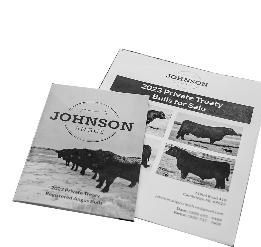 Johnson Angus Catalog