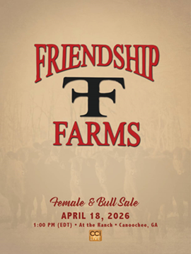 Friendship Farms Sale Book Cover