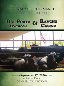 Dal Porto Rancho Casino Sale Book