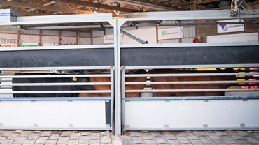 It is important to maintain cattle handling facilities for the safety of the people and the animals, according to the experts at the Beef Cattle Institute.\