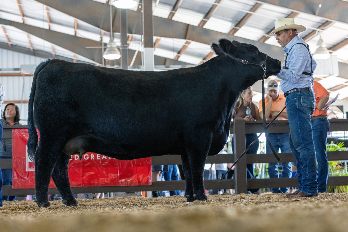 McCauley family to show-ring success  and the foundation of a lasting legacy.