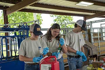 The Top Hand Stockmanship & Stewardship contest teaches teamwork as well as cattle handling skills.