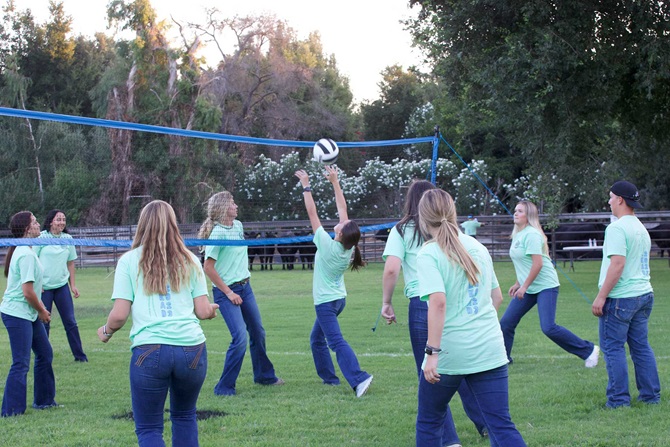 A group of NJAA members in matching green shirts playing a match of volleyball outside on the green grass.