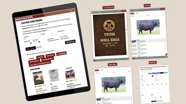 0125-Sale-Books-Online