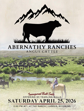Abernathy Ranches