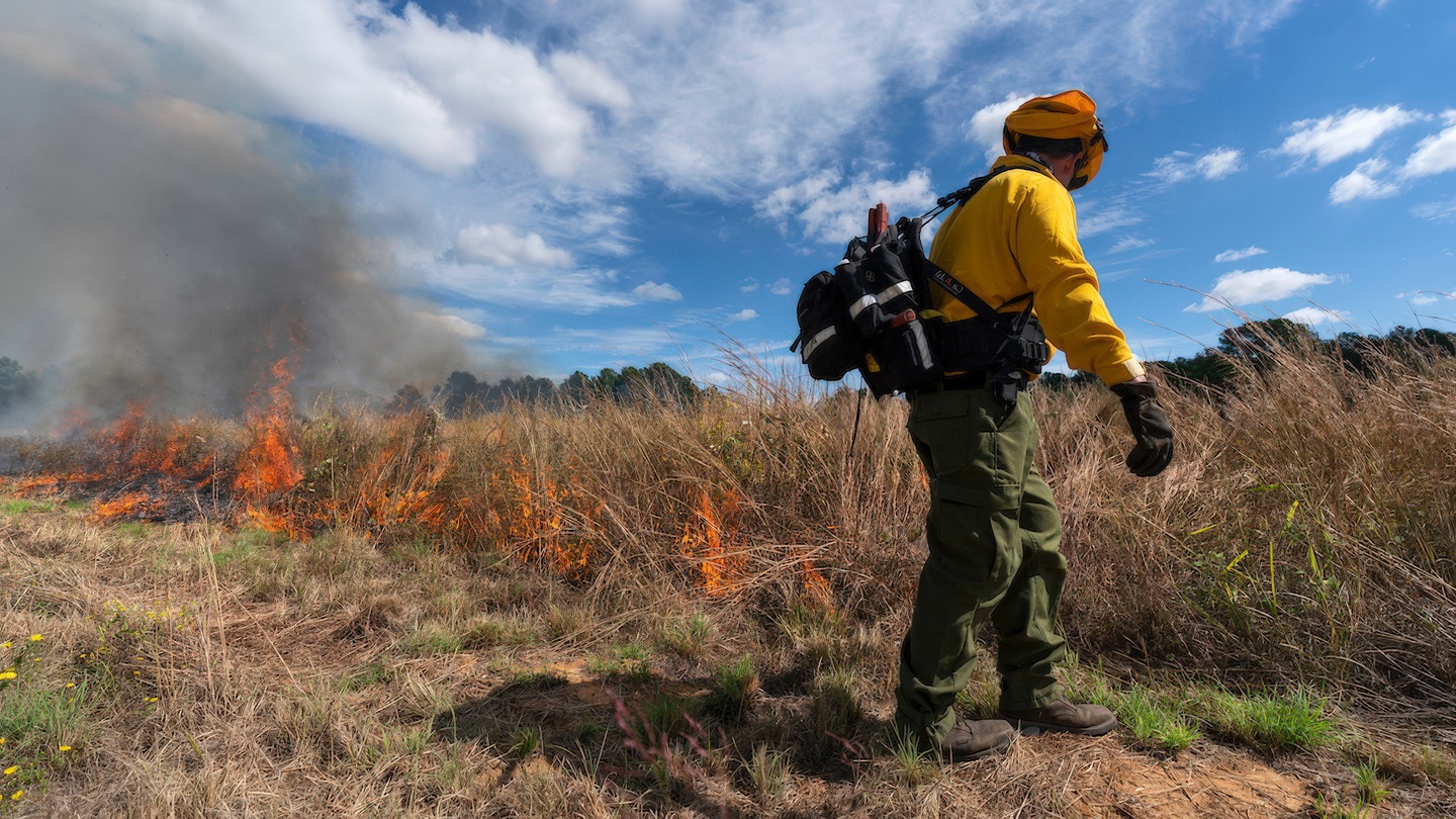 Texas prescribed burn