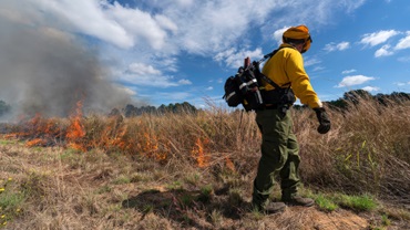 Texas prescribed burn