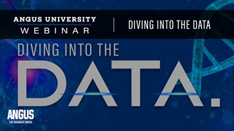 Diving into the data webinar thumbnail