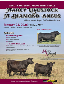 Marcy Livestock Sale Book Cover