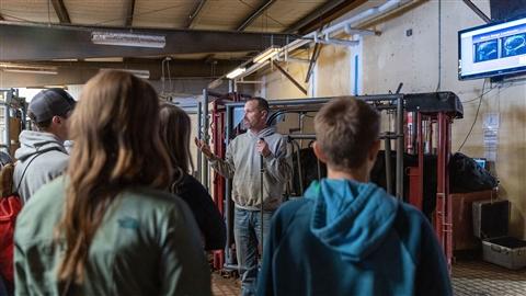 Group of young kids standing around a cattle chute learning about artificial insemination.