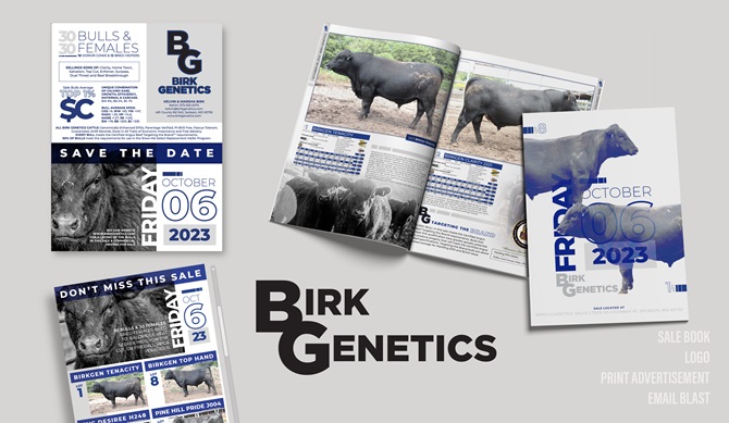 Birk Genetics Integrated Marketing Materials Designed by Angus Media