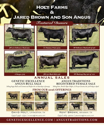 Genetic Excellence BB 09-26