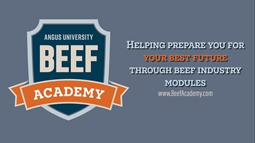 Beef Academy Logo