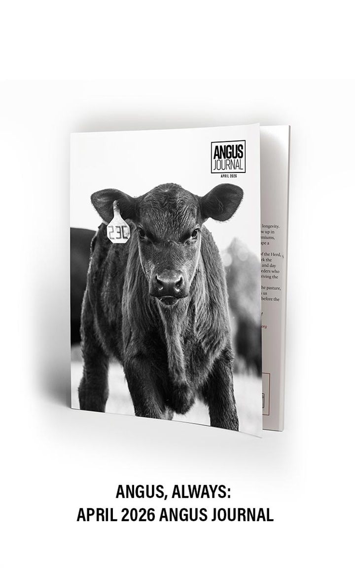 April 2026 Angus Journal