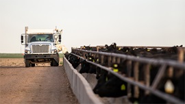 Feedyard