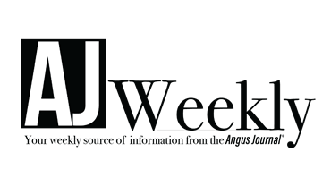 AJ Weekly Logo