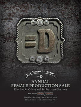 Dal Porto Sale Book Cover