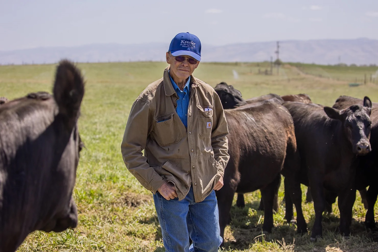 man in pasture