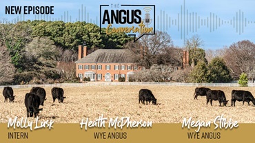 The Angus Conversation