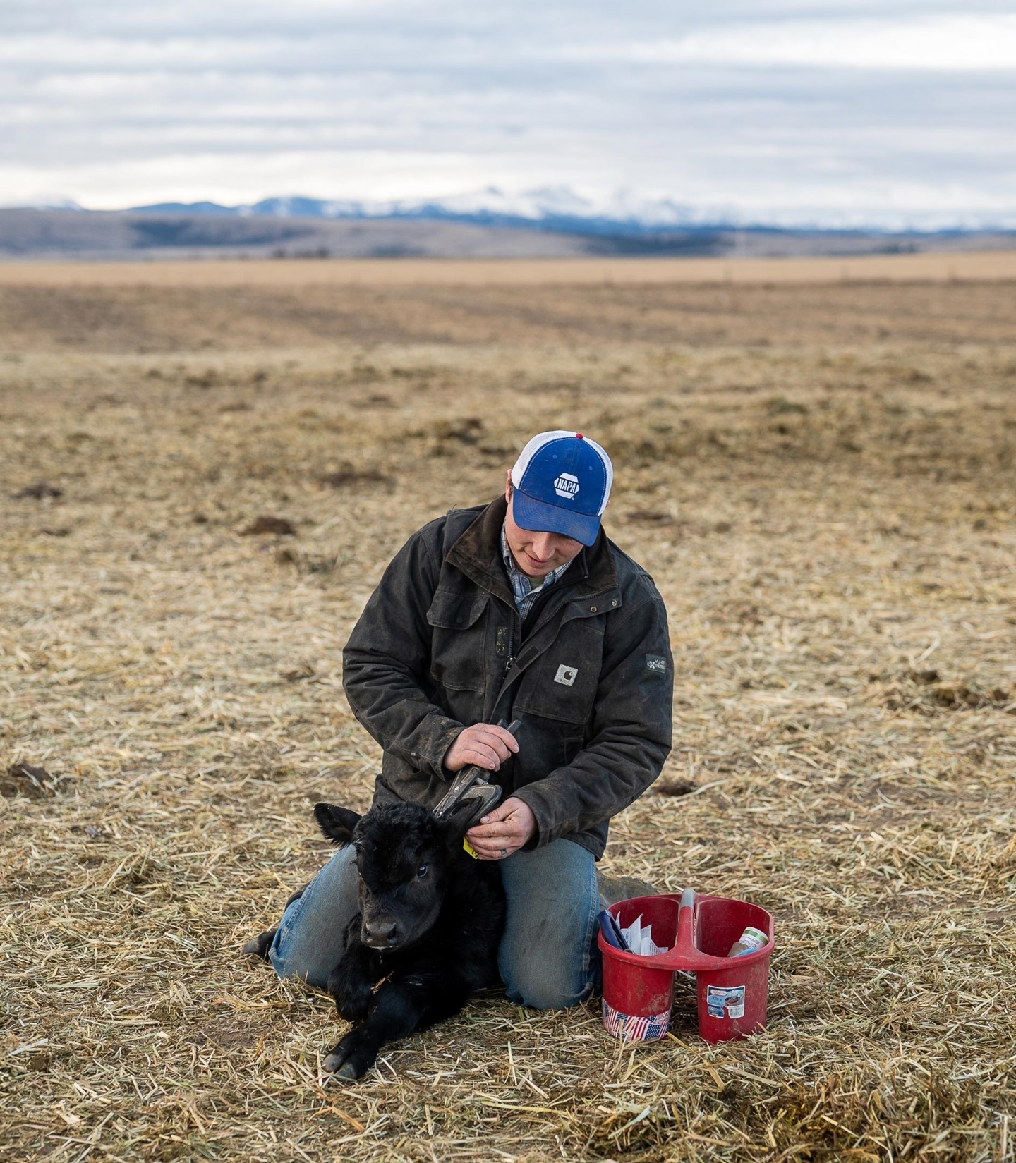 Van Dyke Angus Ranch