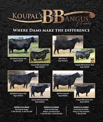 Koupal BB 09-26