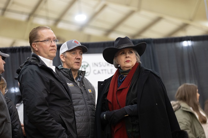 2025 Foundation Heifer Package Sale Event