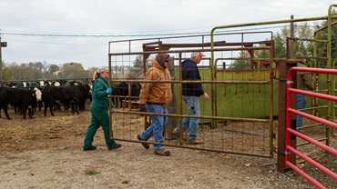 veterinarian and farmer