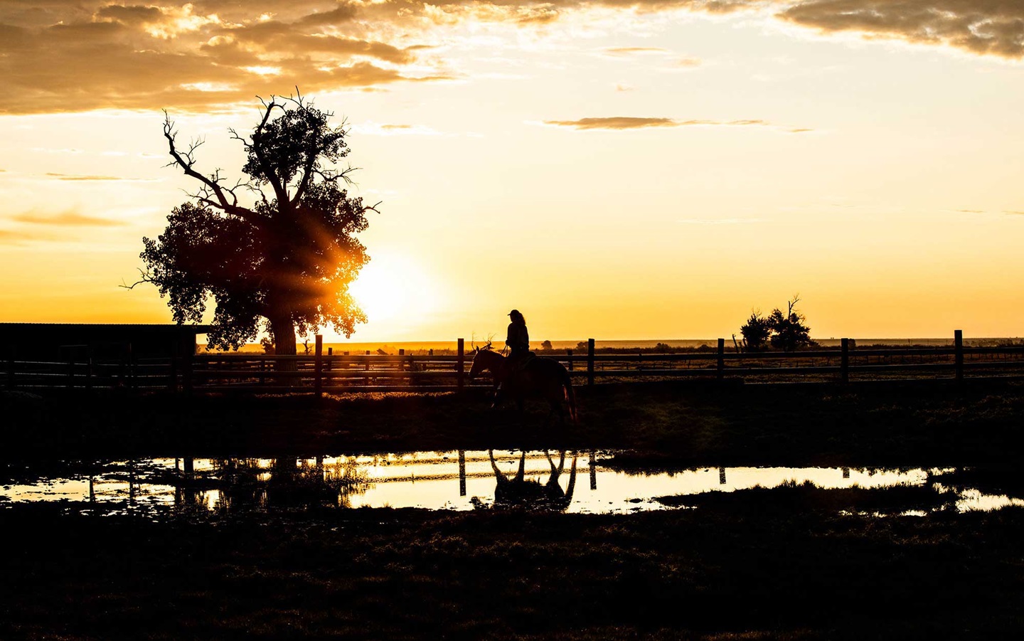 A person rides a horse silhouetted against a sunset