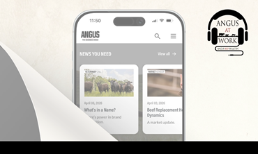 Phone with Angus app and turning page. 