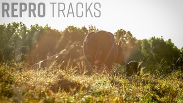 0325-reprotracks16x9