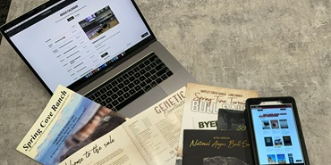 sale books on a desk