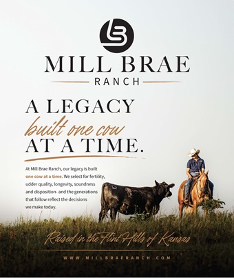 Mill Brae BB 09-26