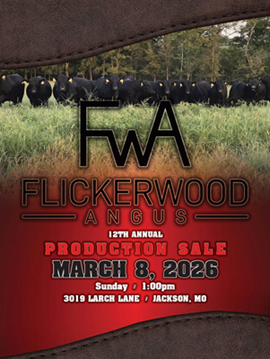 Flickerwood Sale Book Cover