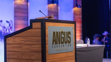 An Angus podium with the President&#39;s gavel sitting on top.