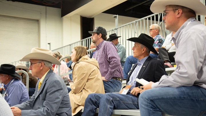 Angus Convention attendees listening to a presenter at a Learning Lounge session.