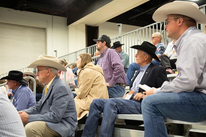 Angus Convention attendees listening to a presenter at a Learning Lounge session.
