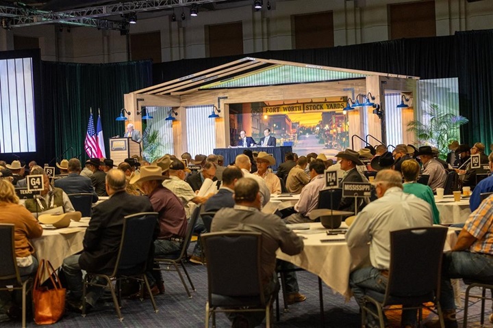 A large group of delegates gathered at the Angus Convention.
