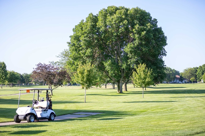 Golf cart sitting at a whole on green golf course.