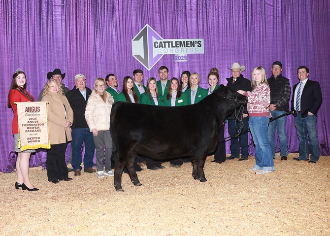 2025 Foundation Heifer Package Sale Event
