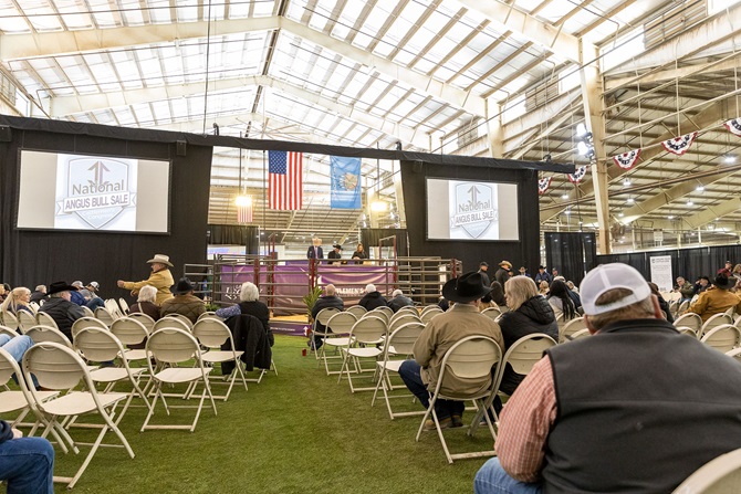 2025 Foundation Heifer Package Sale Event
