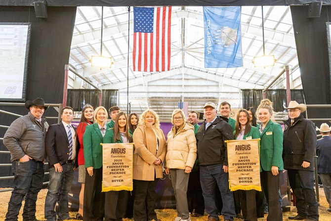 2025 Foundation Heifer Package Sale Event