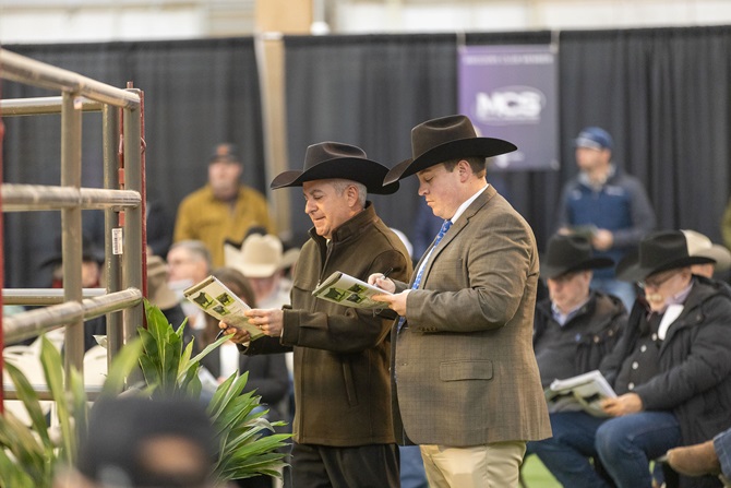 2025 Foundation Heifer Package Sale Event