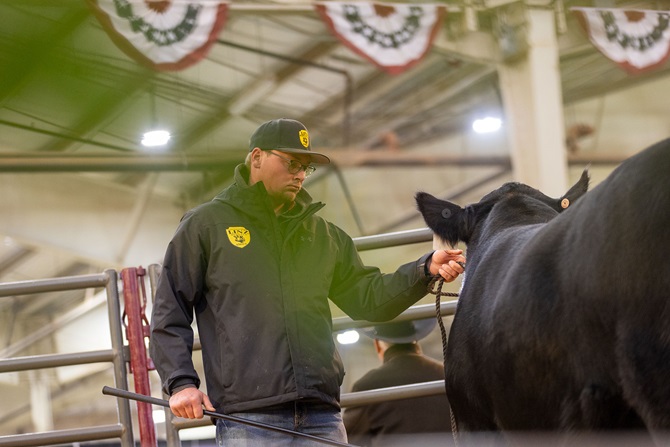 2025 Foundation Heifer Package Sale Event