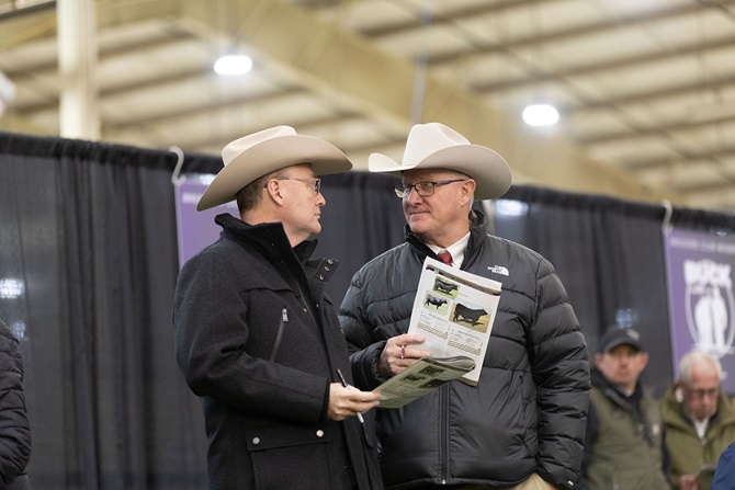 2025 Foundation Heifer Package Sale Event
