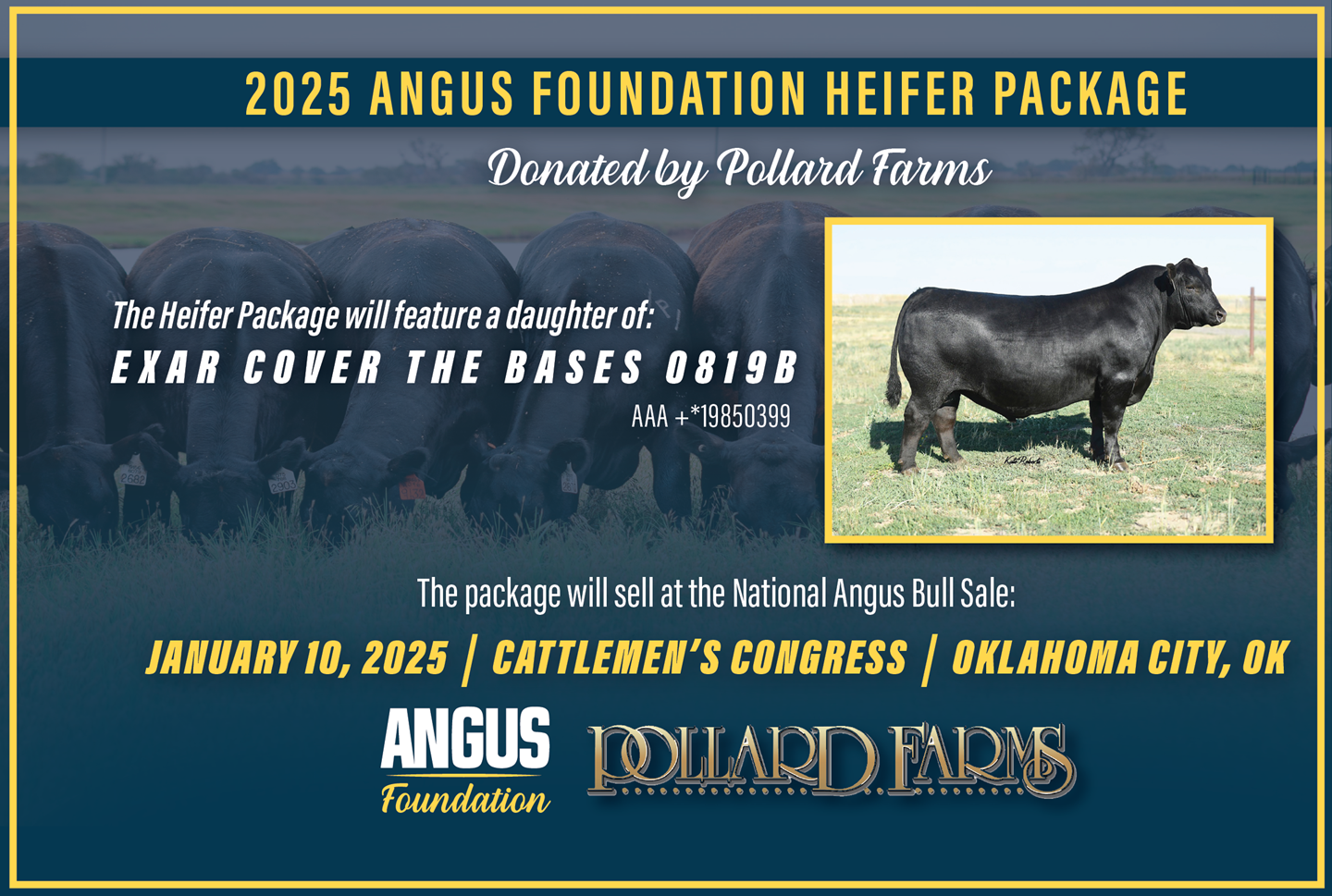 Show Me Select Heifer Sale 2025