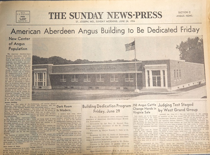An original Angus newspaper print donated to the Angus Foundation Silent Auction at the 2024 NJAS.