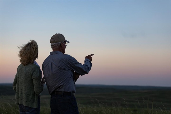 A couple looking out over a pasture at dusk.