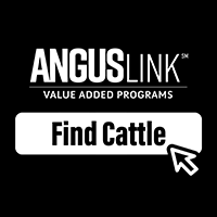 Find Cattle Promo button